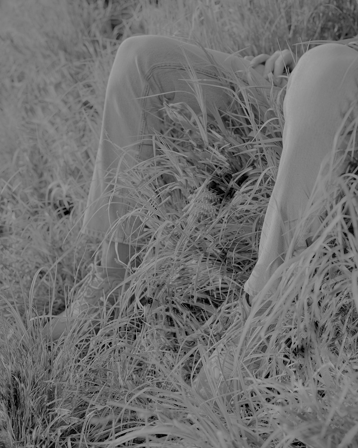 Ph. Fabrizio Albertini