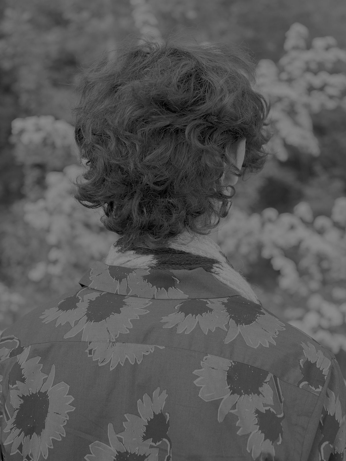 Ph. Fabrizio Albertini