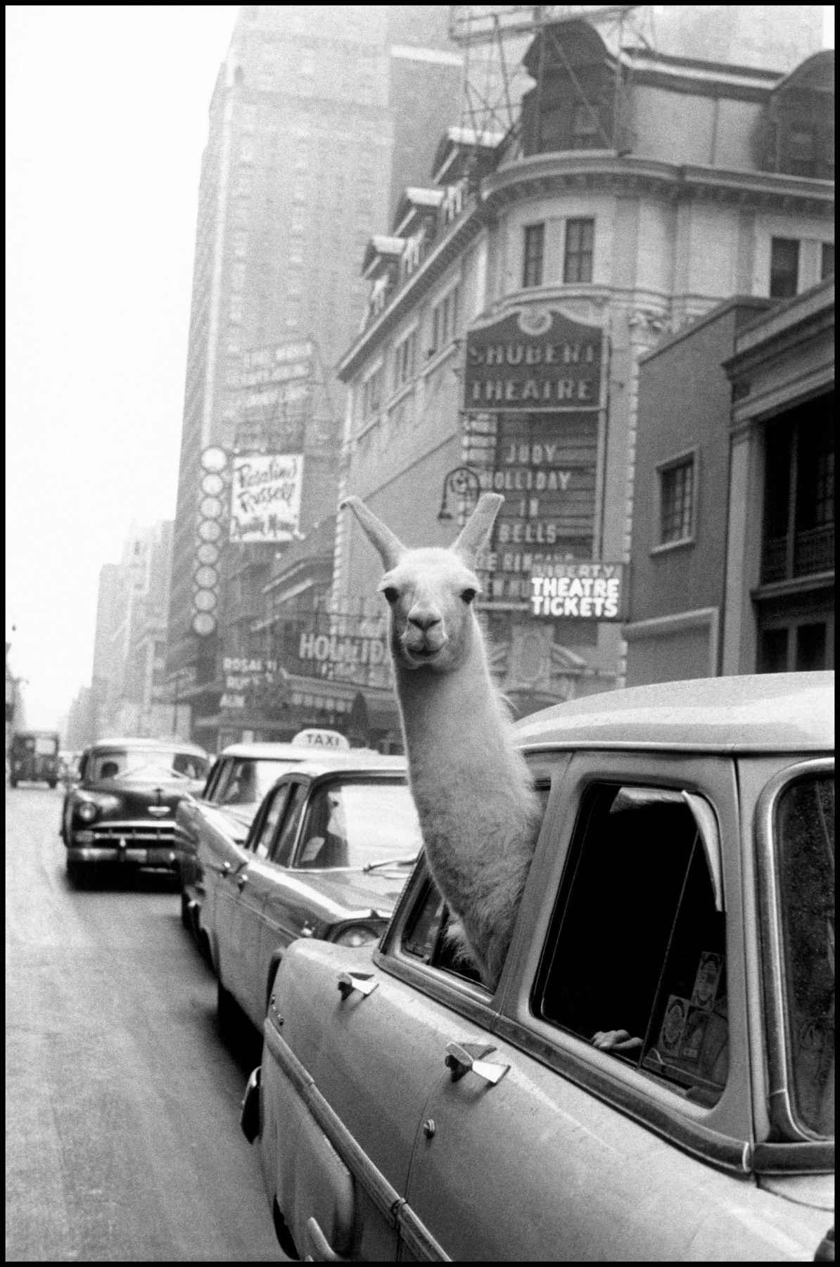 Inge Morath