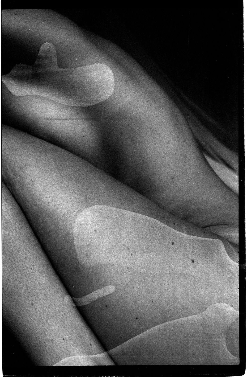 ph. Rita Lino