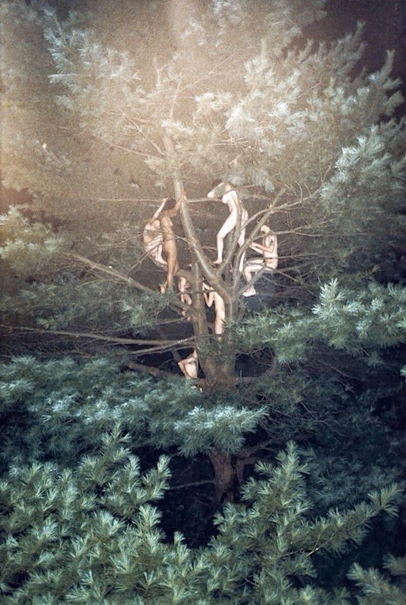 Ryan McGinley