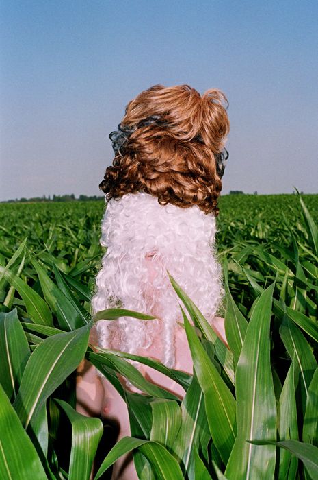 Synchrodogs