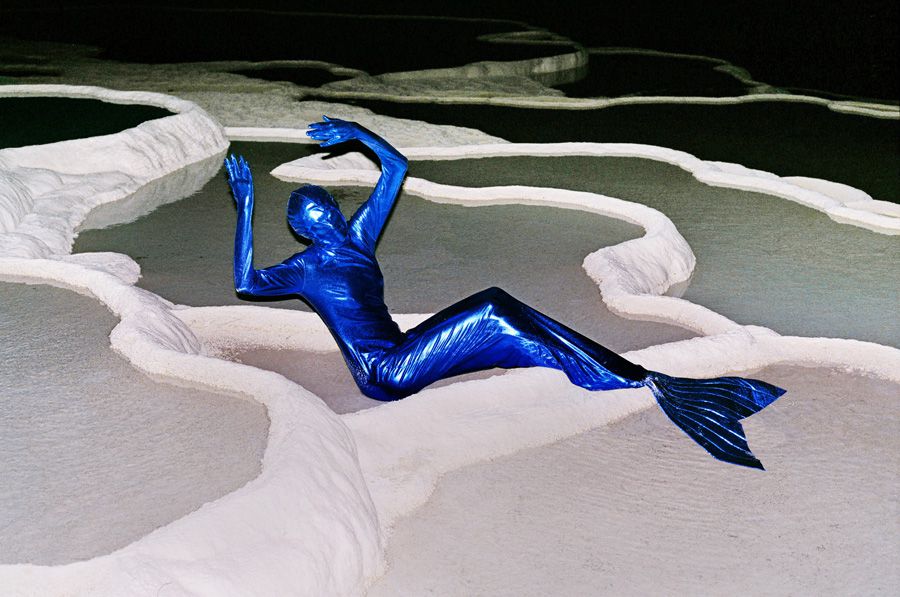 Synchrodogs