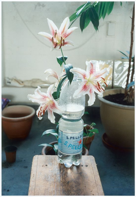 Wolfgang Tillmans